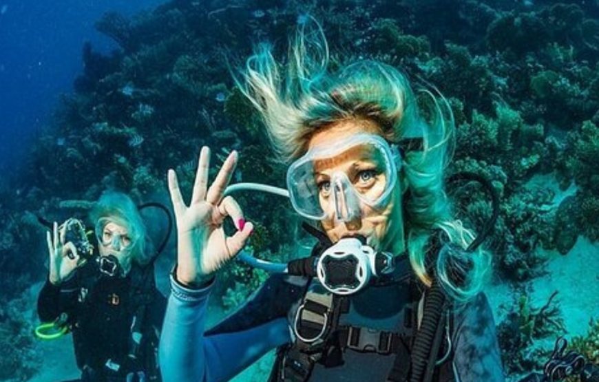 Explore the Underwater World of Antalya: Guided Scuba Diving Tours