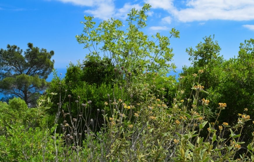 Olympos Cable Car & Ulupinar Tour from Antalya – Tahtali Mountain Cable Car Ride