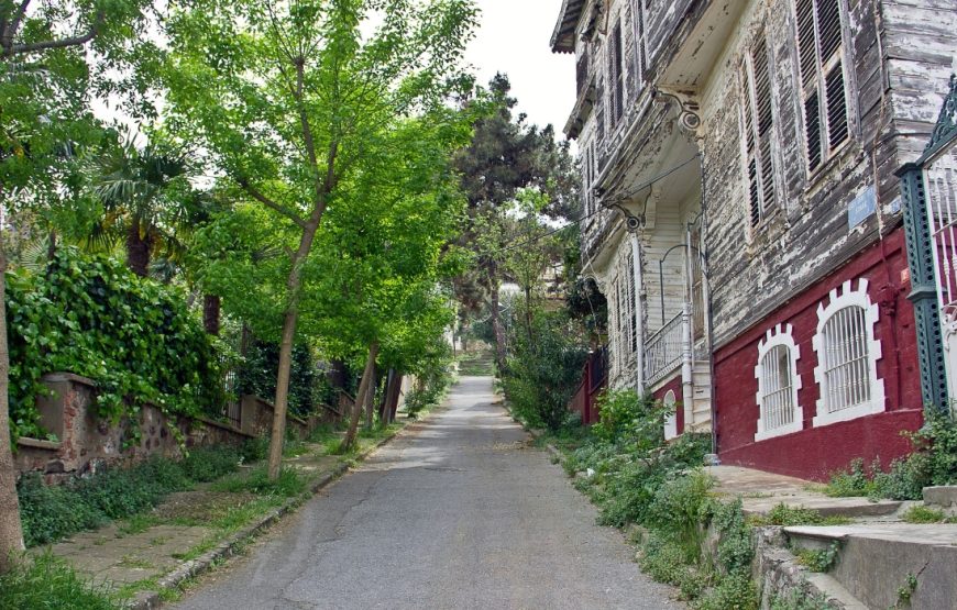 Princes’ Island Day Trip from Istanbul