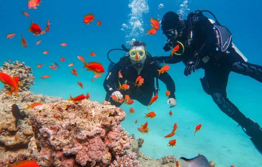 Antalya Scuba Diving Tour – Explore the Underwater World
