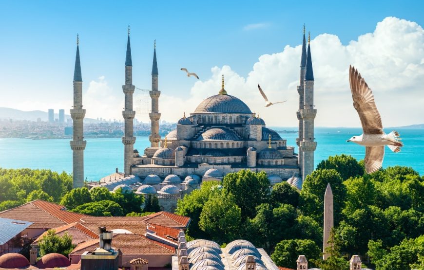 All-Day Istanbul Old City Tour – Explore the Historic Old Town