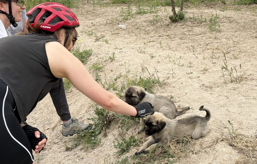 Fairy Chimney Loop – Cappadocia Bike Tour through Valleys & Rock Formations