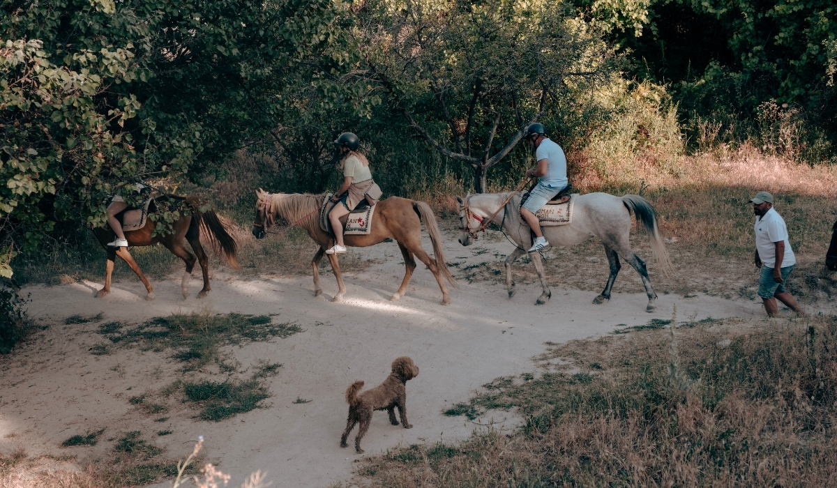 A group of travelers on horseback, led by a guide, exploring the scenic trails of Cappadocia. This traditional way of travel, rooted in the region’s nickname “Land of Beautiful Horses,” provides a unique and authentic way to experience Cappadocia’s valleys and landscapes.
